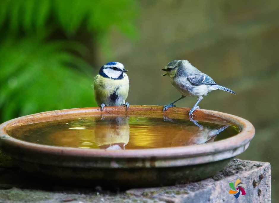 Practical advice for active listening